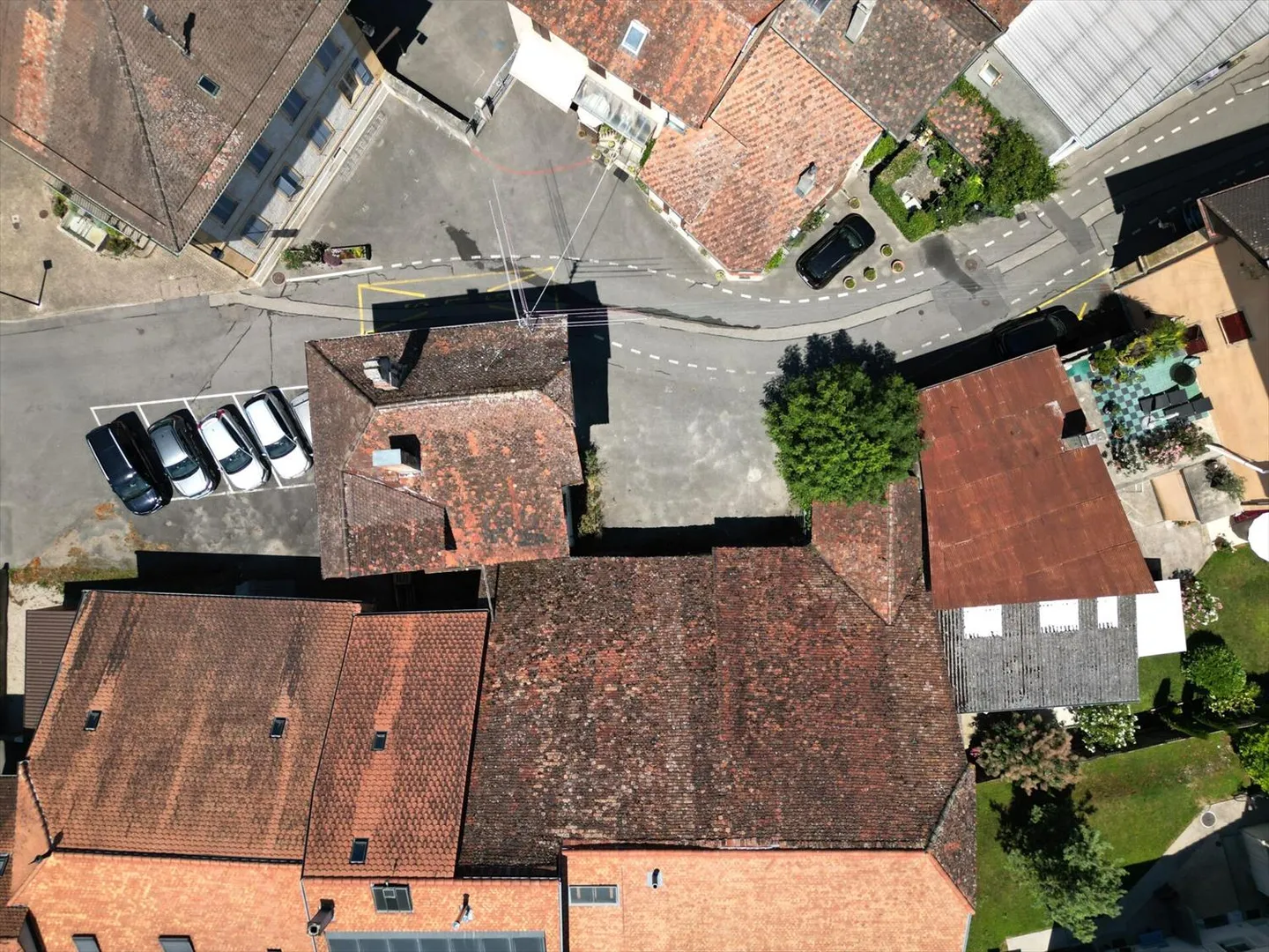 «Enkel - Transformatives Potenzial» - Foto 7 von 7