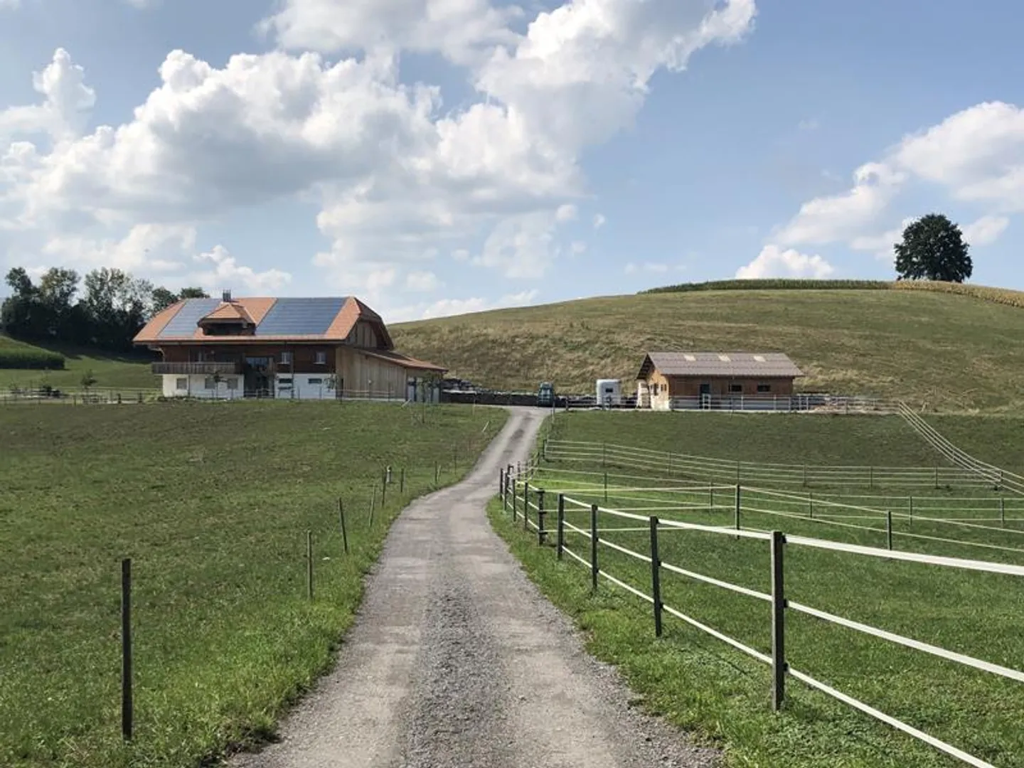 Charmante Wohnung mit Panoramablick - Foto 2 von 26