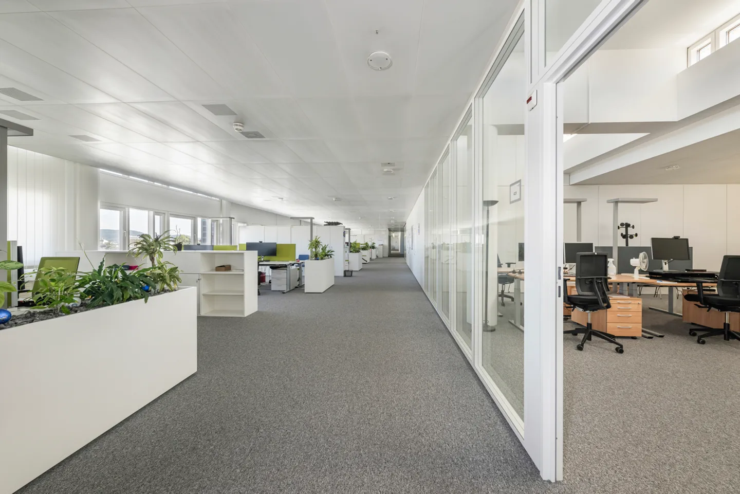 Espace de bureau premium à Bâle - Photo 3 sur 13