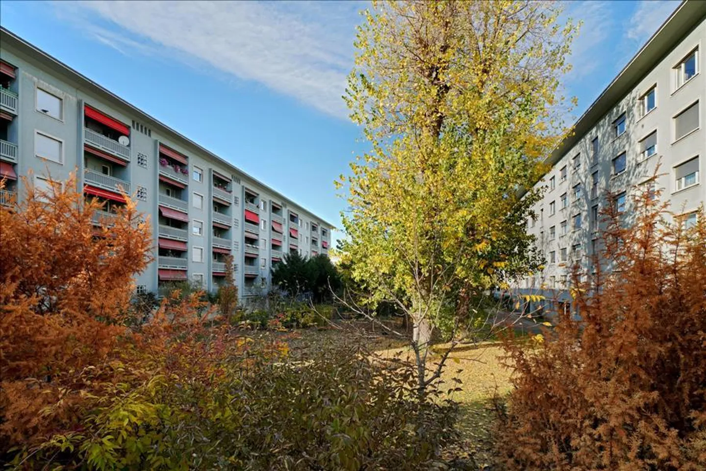 Near Novartis - in a well-kept property - Photo 1 of 8