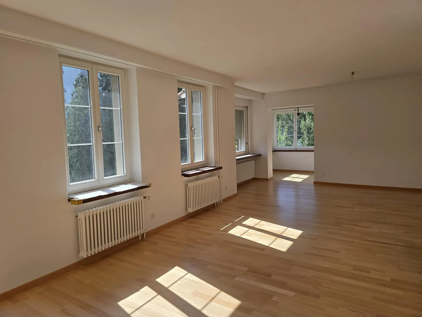 Maison individuelle de 6,5 pièces avec terrasse et vue sur le lac - Photo 3 sur 27