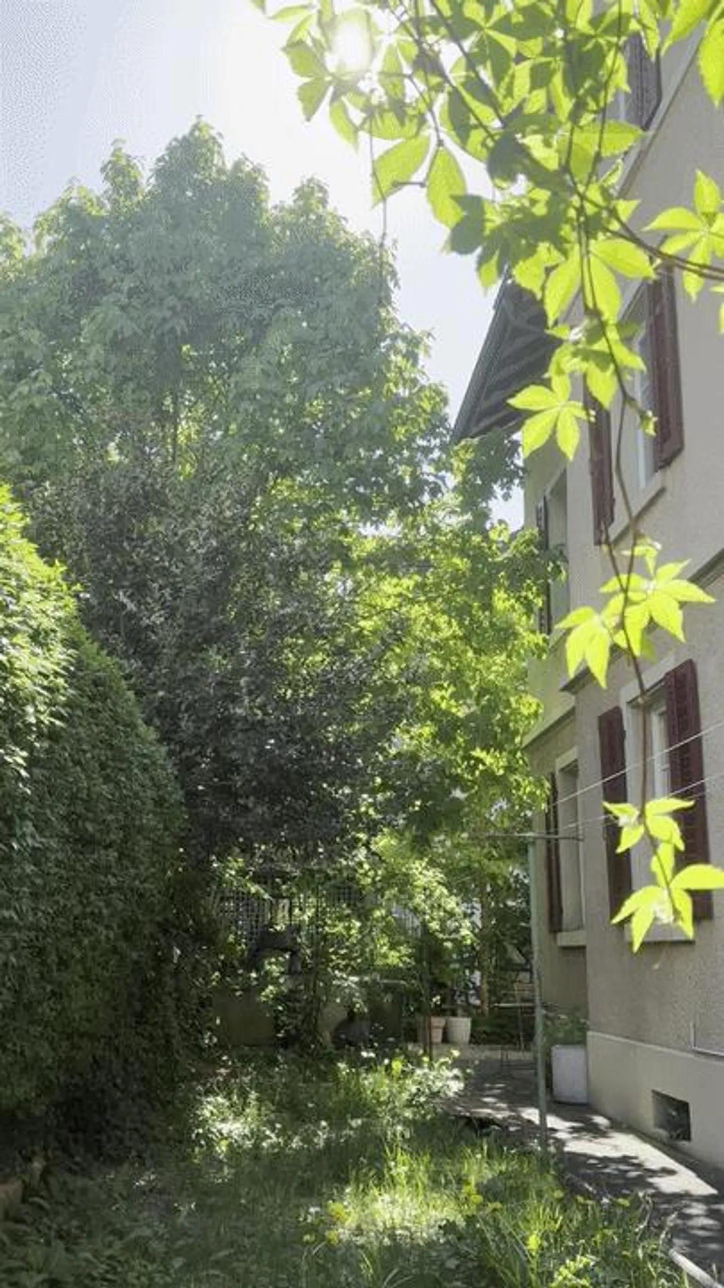 Appartamento 3 locali in posizione centrale con uso del giardino - Foto 14 di 16