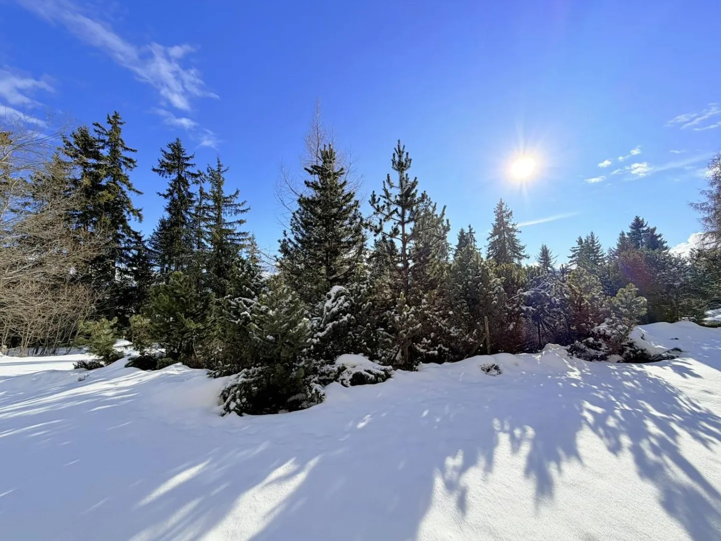 Appartamento con terrazza 4.5 stanze - Foto 21 di 26