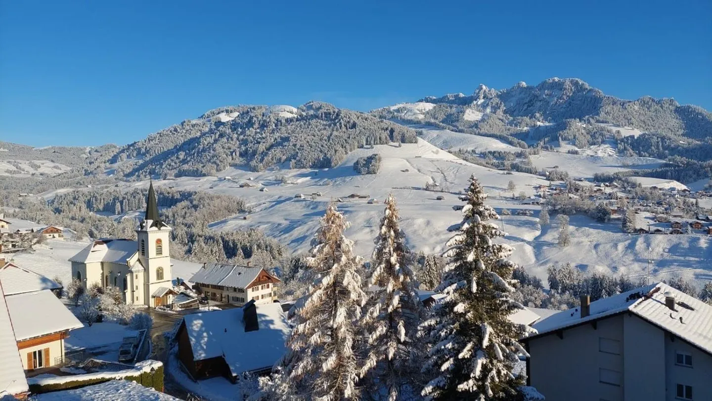 Duplex mit atemberaubendem Blick auf das Jogne-Tal - Foto 2 von 11
