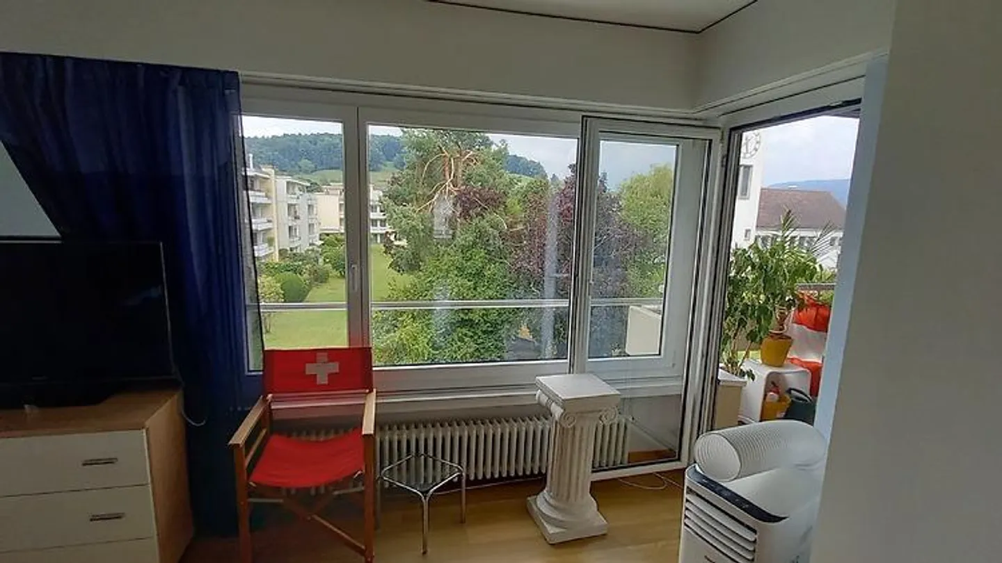 Bright Attic Apartment with Terrace - Photo 9 of 10