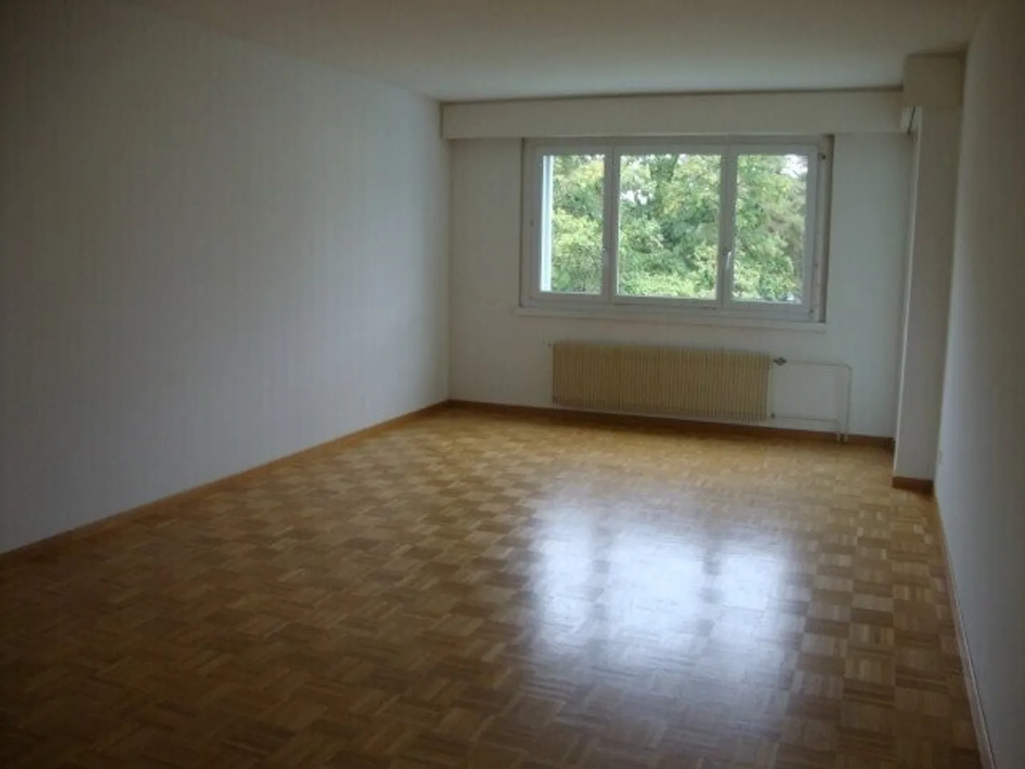 We are looking for exactly you - Photo 3 of 7