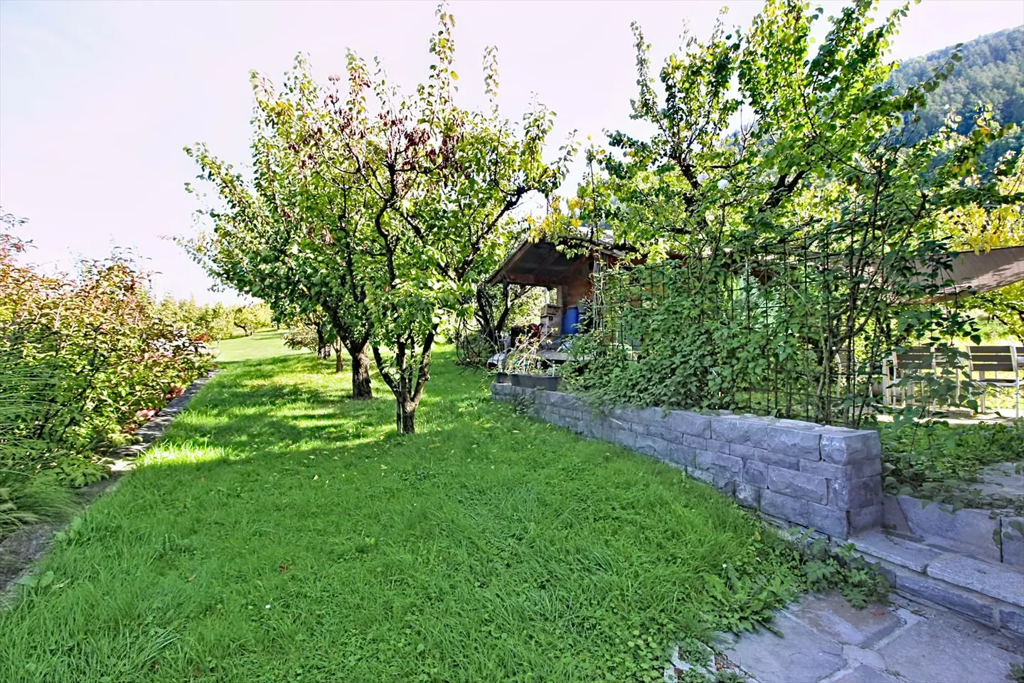 Casa 2.5 stanze - Foto 13 di 13