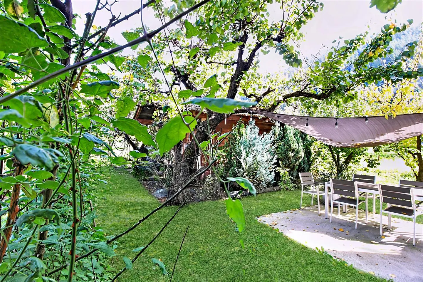 Casa 2.5 stanze - Foto 12 di 13