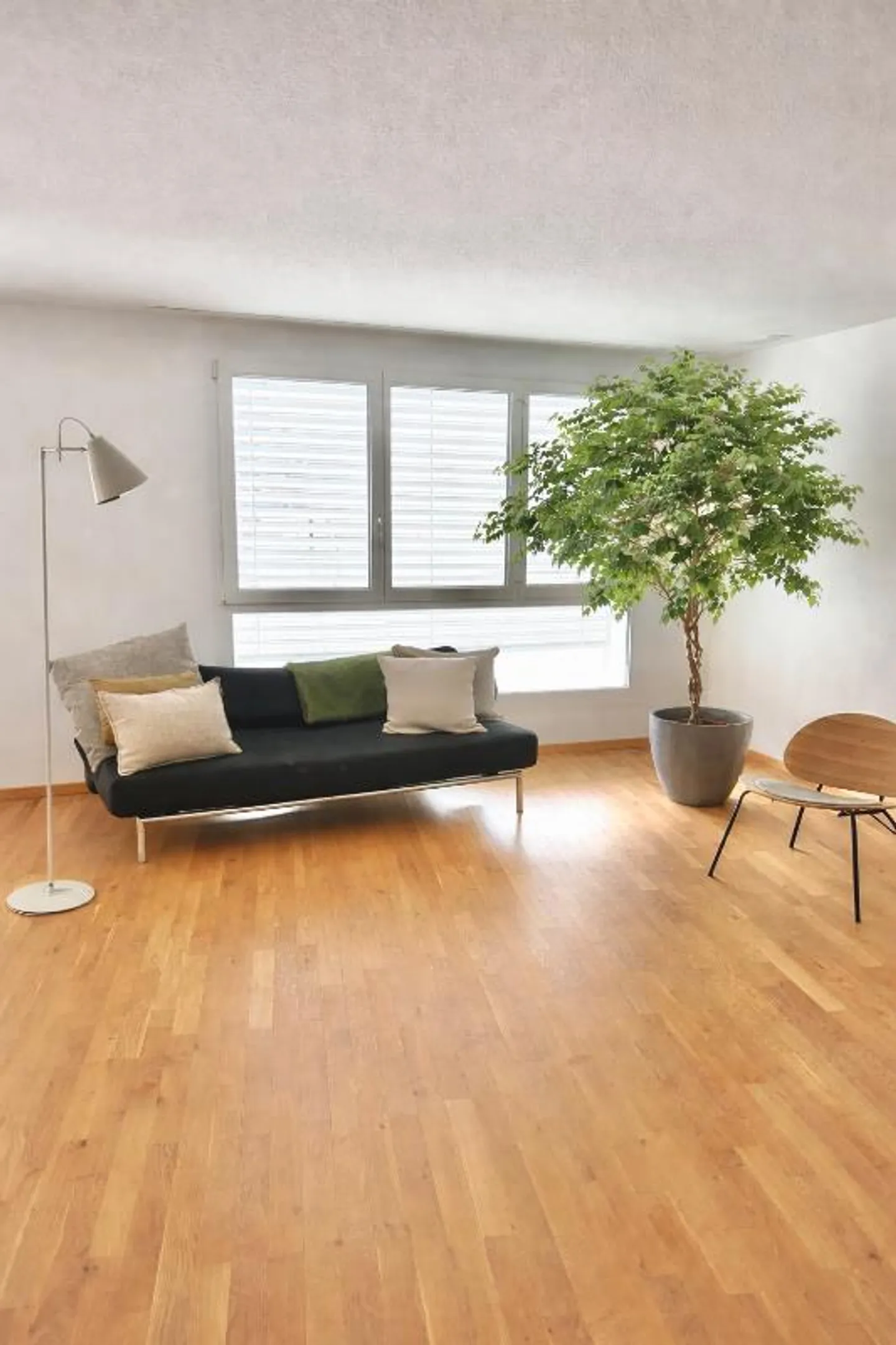 2.5 Room Apartment - Photo 2 of 5