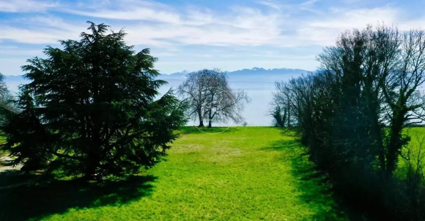 Superbo lotto di 6.500 m2 a piedi nell'acqua, Rolle - Foto 11 di 11
