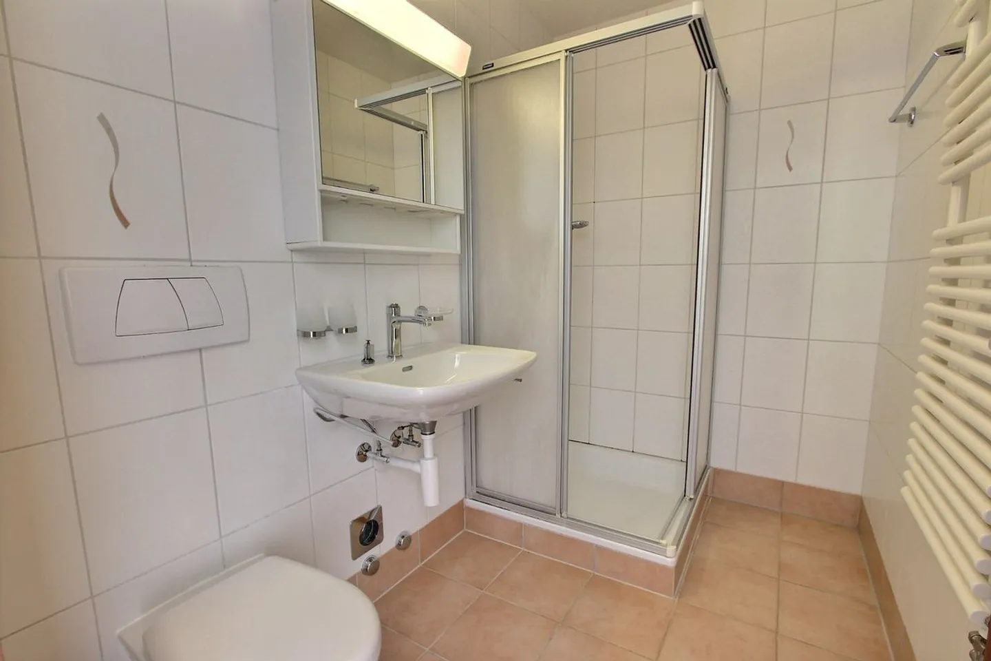 Spacious 4.5-room apartment - Photo 10 of 13