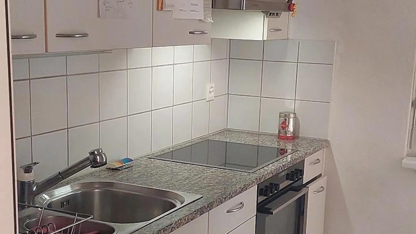 3 ROOM APARTMENT IN HINWIL (ZH), FURNISHED, TEMPORARY - Photo 3 of 10