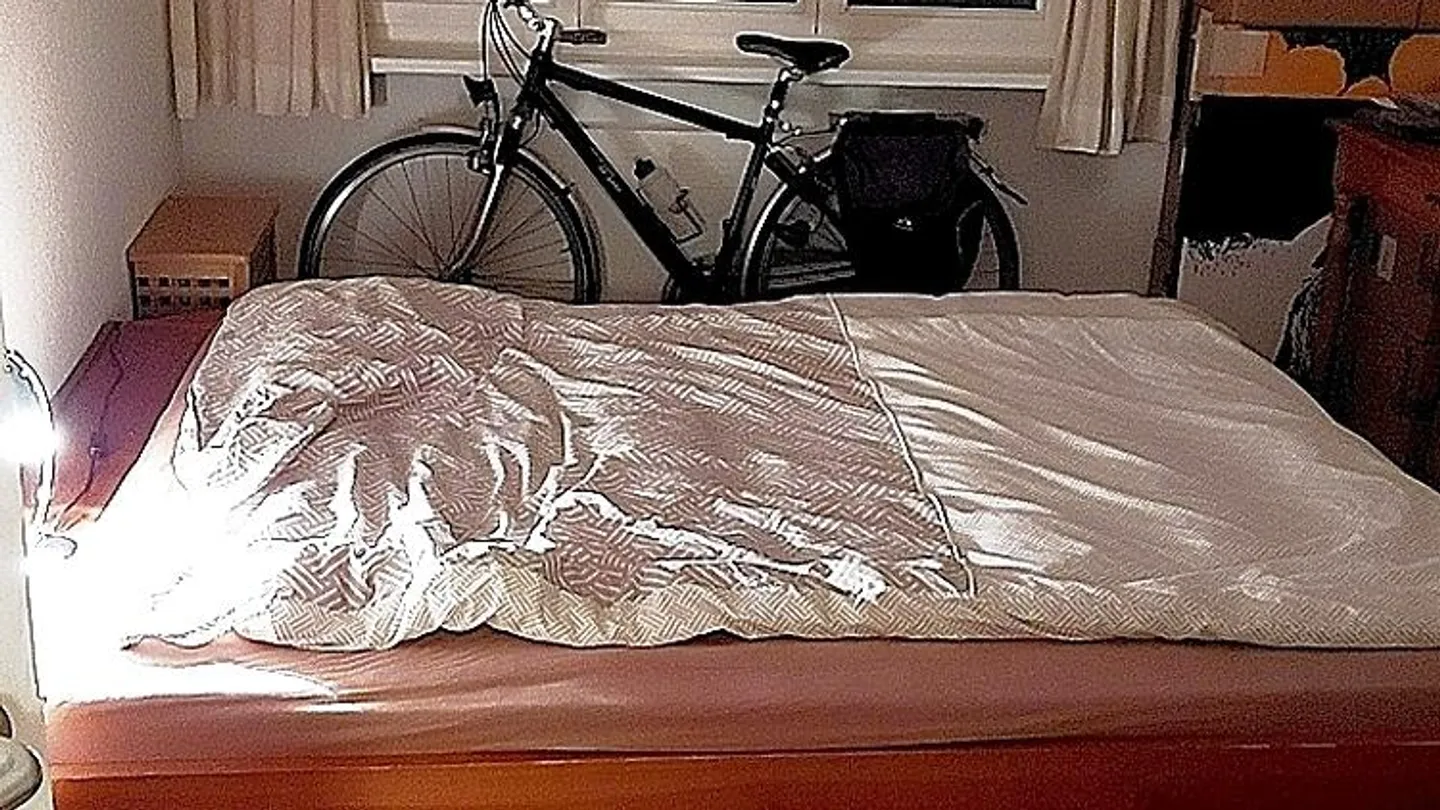 3 ROOM APARTMENT IN HINWIL (ZH), FURNISHED, TEMPORARY - Photo 5 of 10