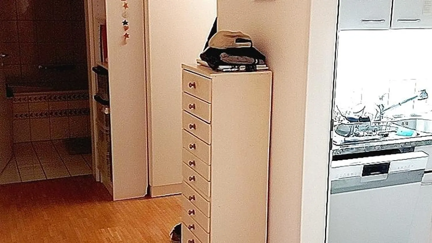 3 ROOM APARTMENT IN HINWIL (ZH), FURNISHED, TEMPORARY - Photo 7 of 10