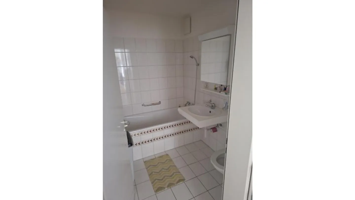 3 ROOM APARTMENT IN HINWIL (ZH), FURNISHED, TEMPORARY - Photo 8 of 10