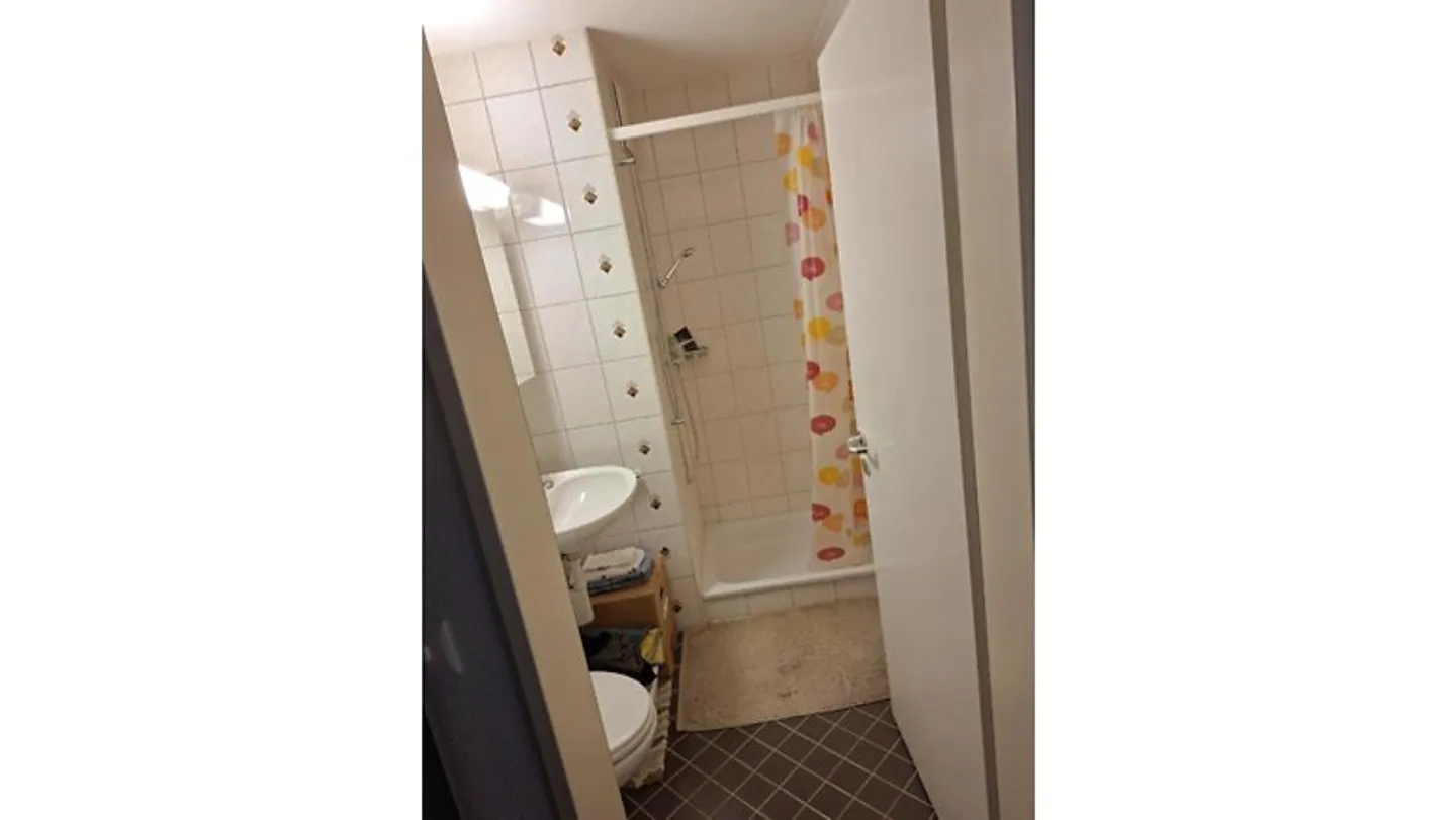 3 ROOM APARTMENT IN HINWIL (ZH), FURNISHED, TEMPORARY - Photo 9 of 10