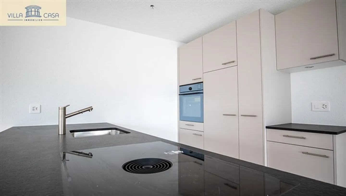 Apartment (120m²) with spacious layout & dream terrace (118m²) - Photo 4 of 17