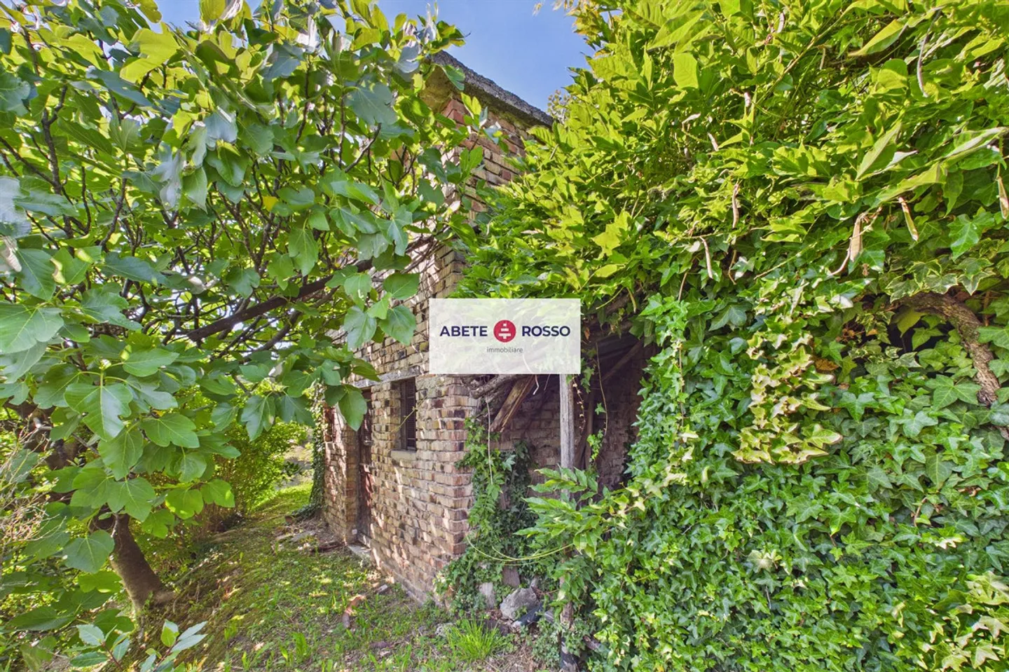 Charmantes Tessiner Einfamilienhaus - Foto 25 von 29