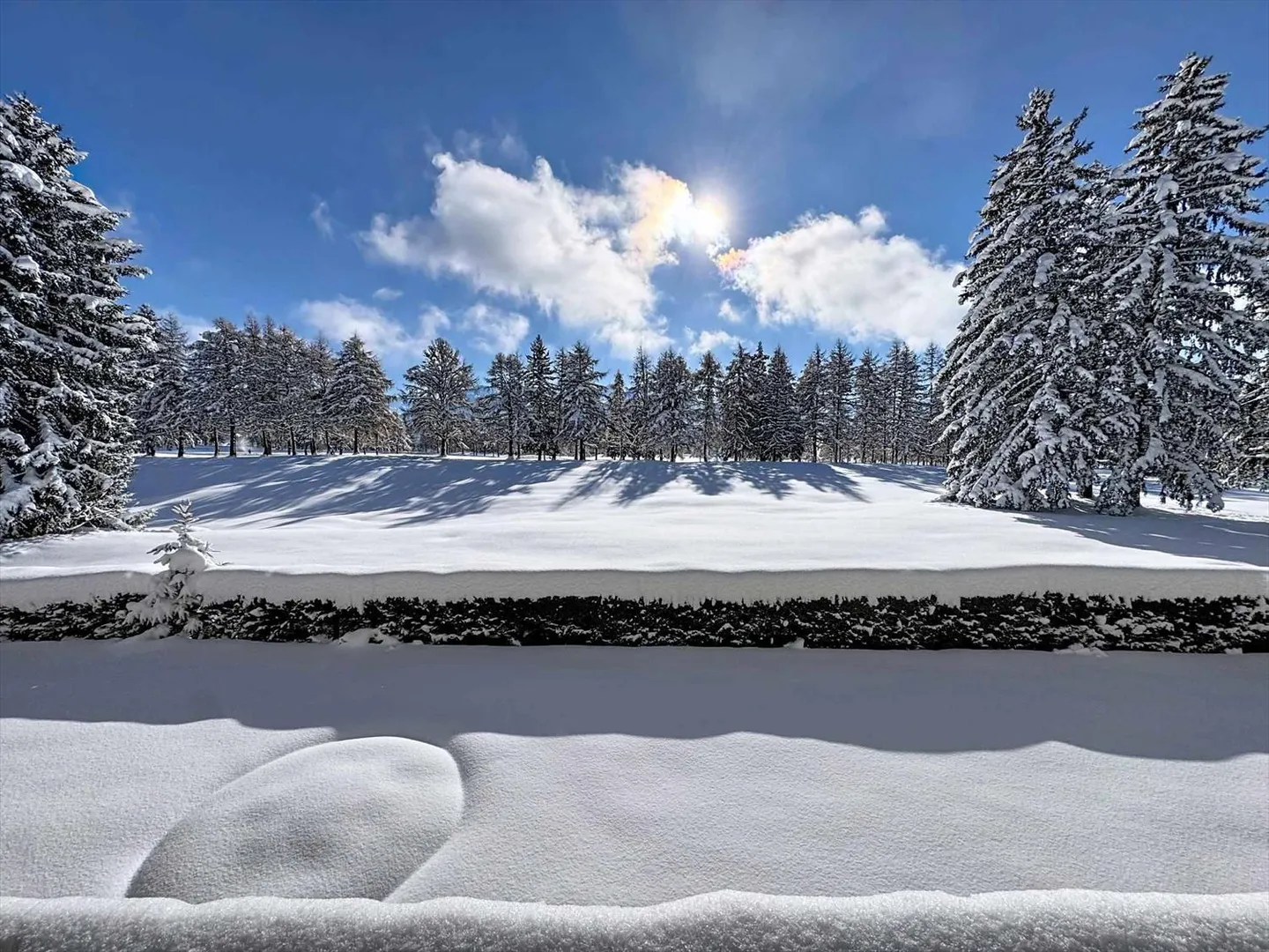 3.5-room apartment facing the golf course with a very beautiful view - Photo 1 of 12