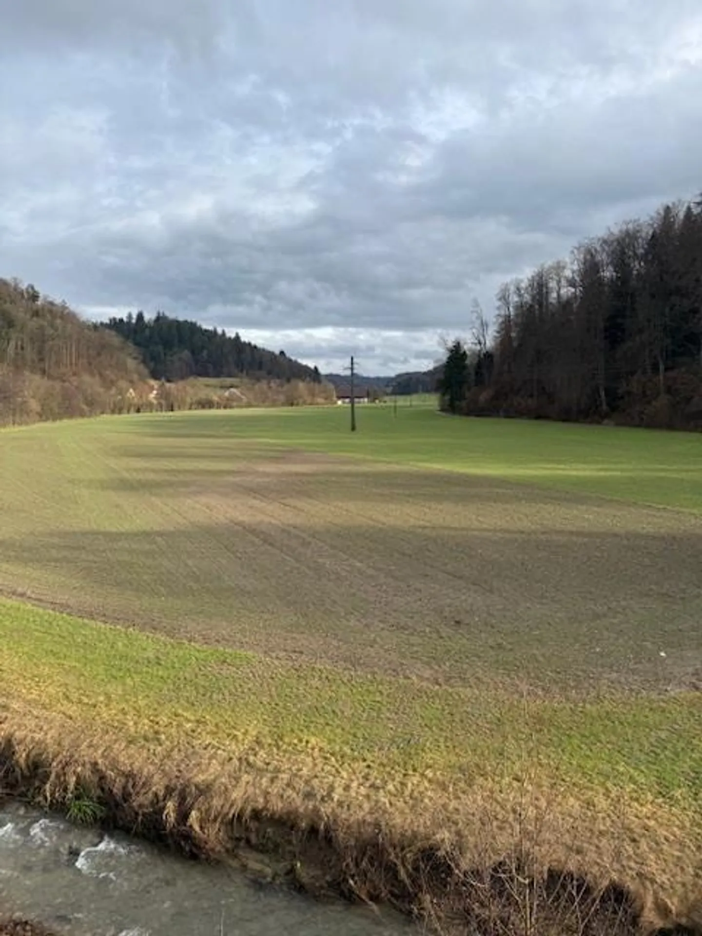 Moderne Attikawohnung mit Terrasse - Foto 1 von 6