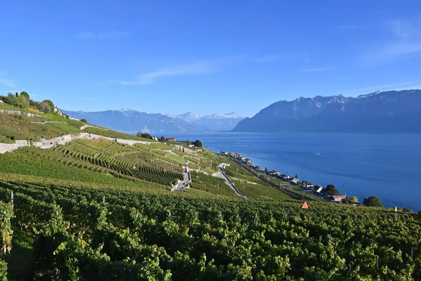 Nuovi Appartamenti con Vista Lago - Foto 11 di 13