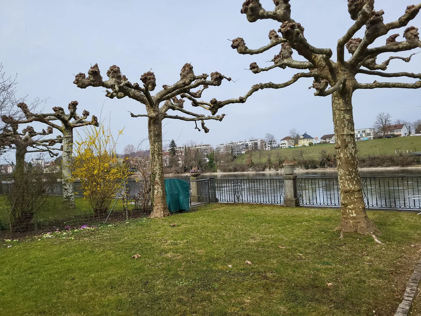 Loft-Stil Wohnung in Rheinfelden - Foto 7 von 7