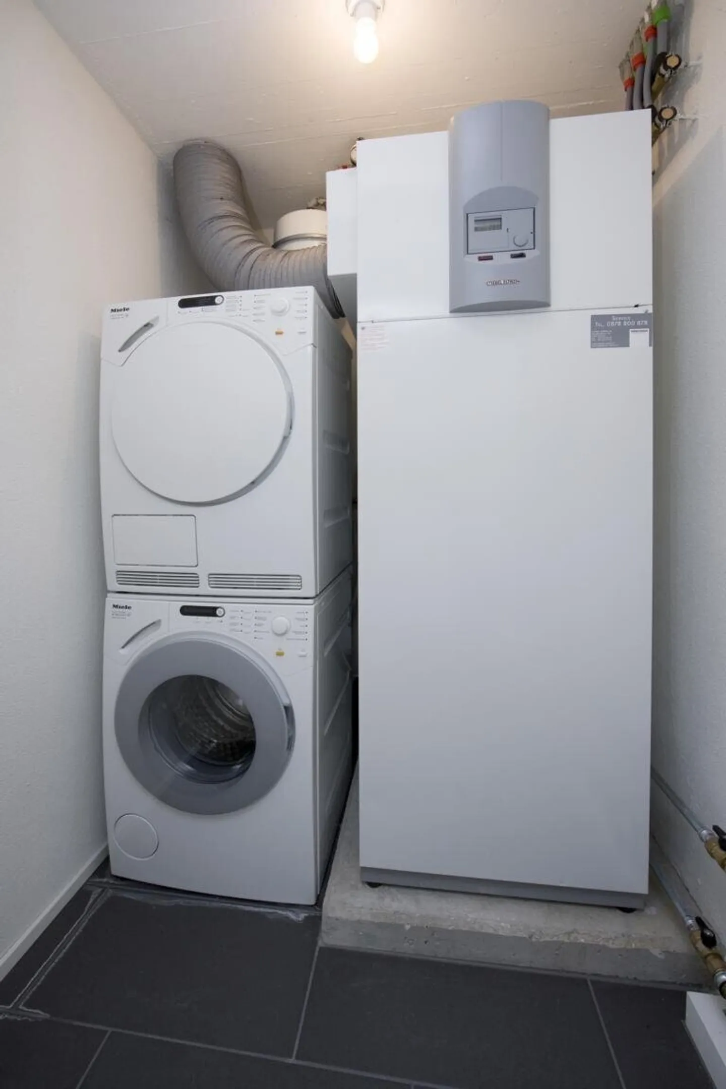 "3, 2, 1,… mine!" - Photo 6 of 8