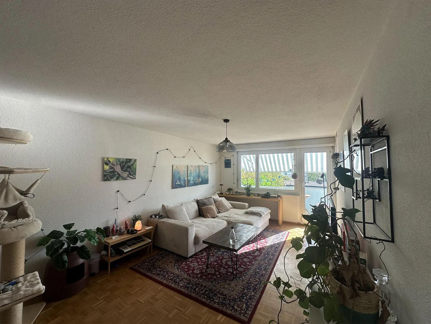 Charmante Wohnung in Dielsdorf - Foto 1 von 7
