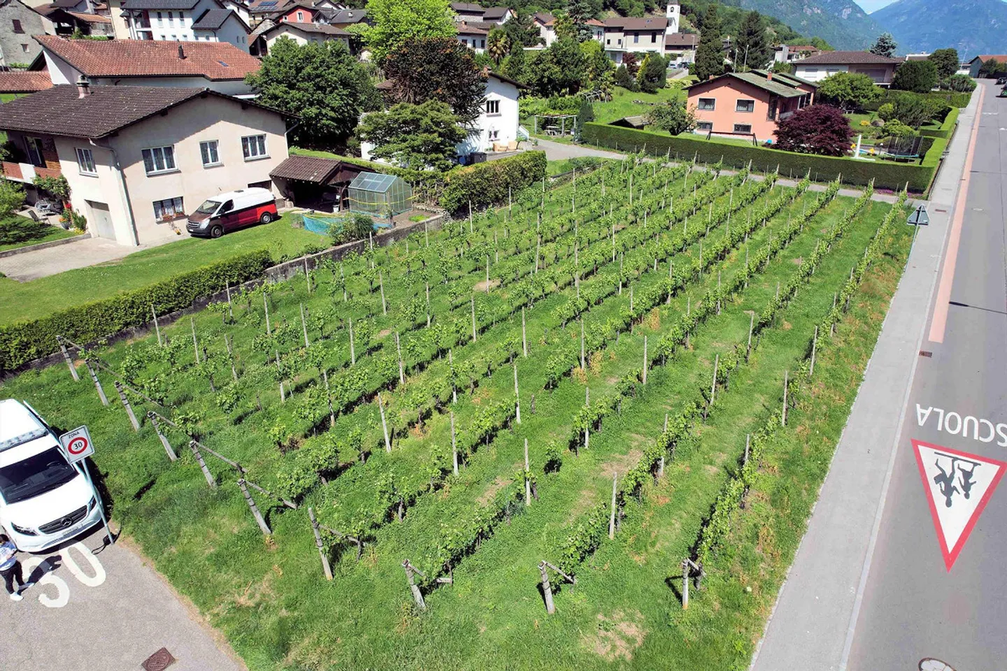 Building plot in a convenient, well-served and sunny area - Photo 3 of 10