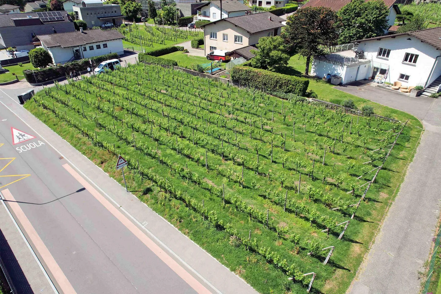 Building plot in a convenient, well-served and sunny area - Photo 4 of 10