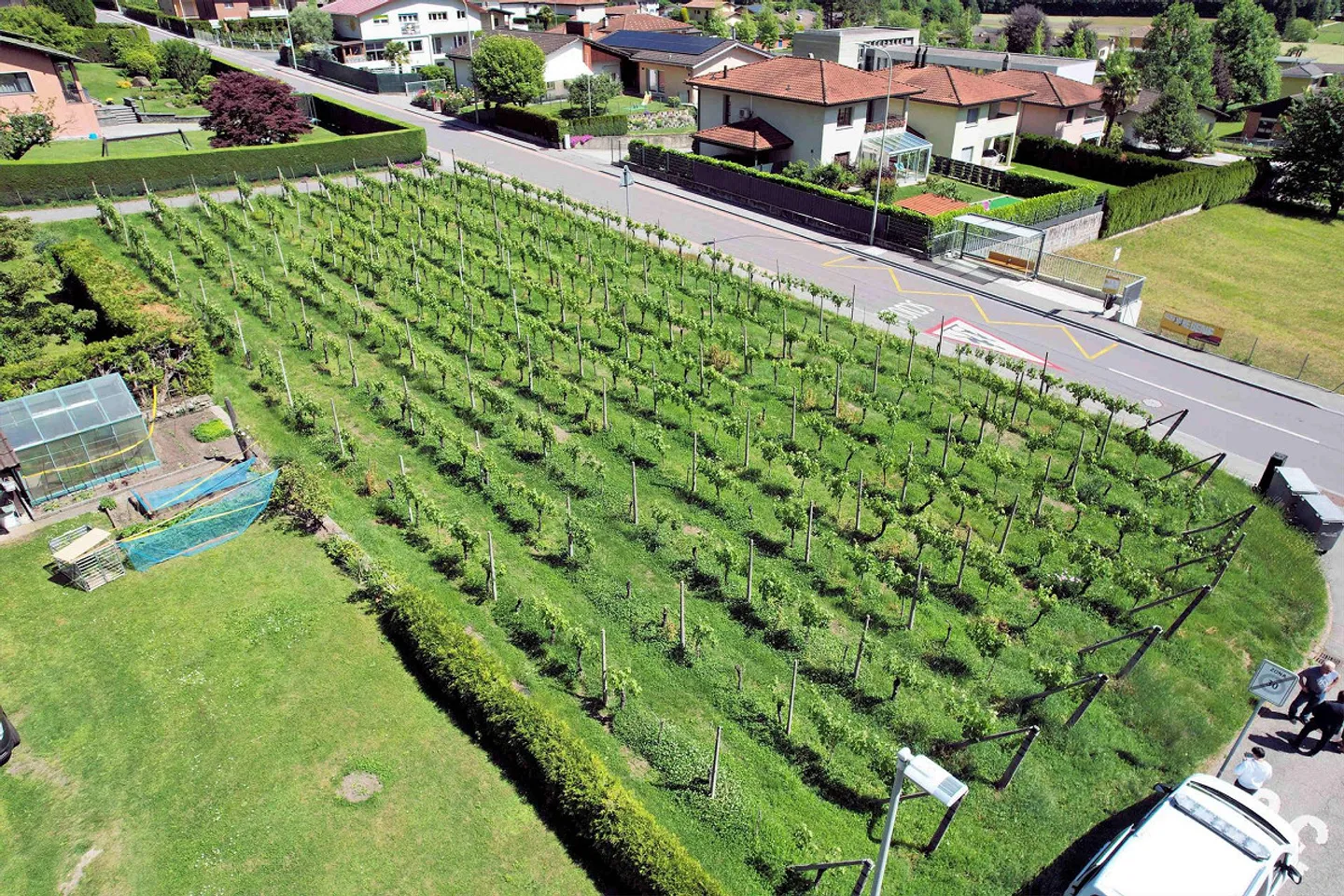 Building plot in a convenient, well-served and sunny area - Photo 8 of 10
