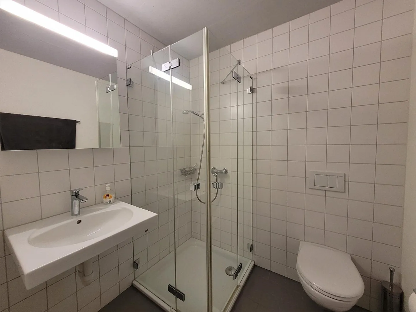 Möblierte Wohnung bei Winterthur - Foto 7 von 8