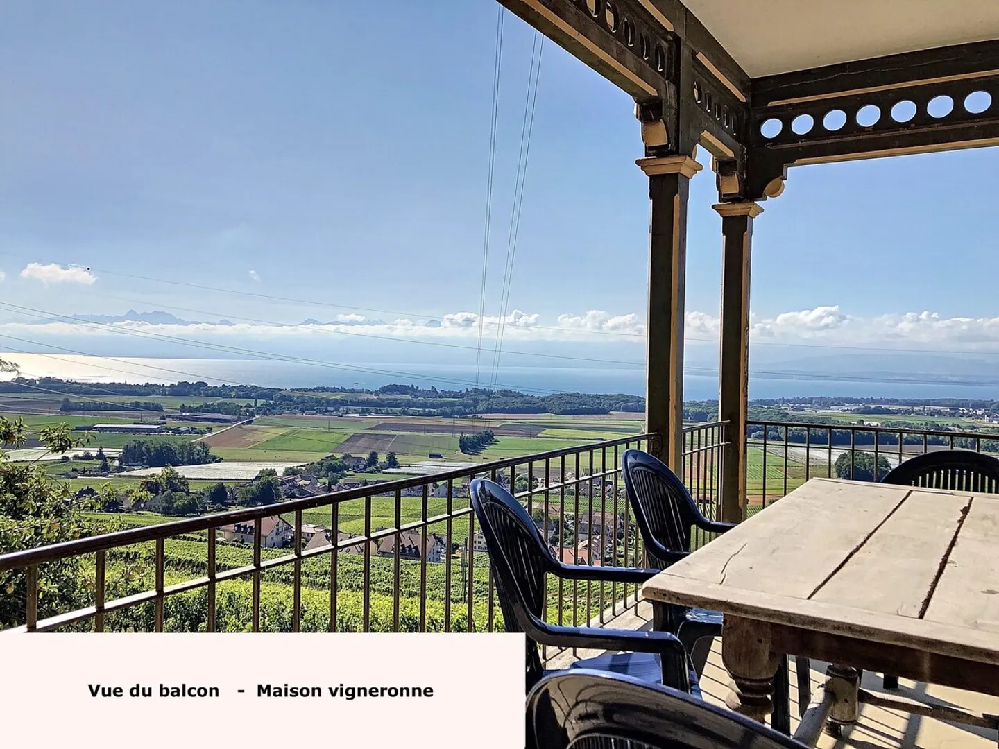 1184 Luins - Vineyard estate with forest, breathtaking lake view - Photo 2 of 13