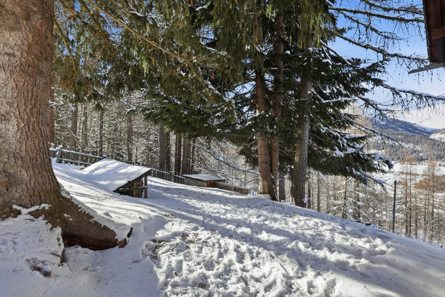 A Rare Opportunity Near St. Moritz - Photo 33 of 48