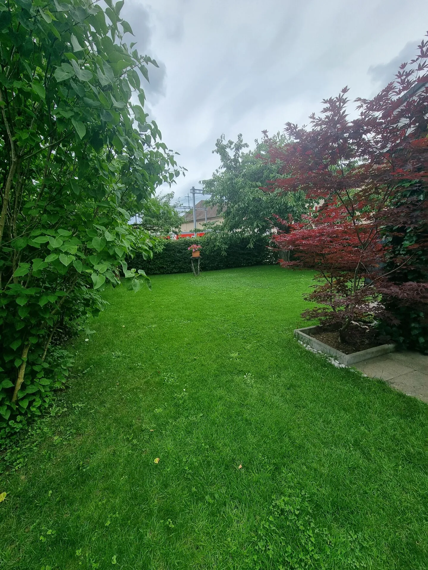 Ampio appartamento di 5.5 stanze con giardino a Täuffelen in affitto - Foto 6 di 6