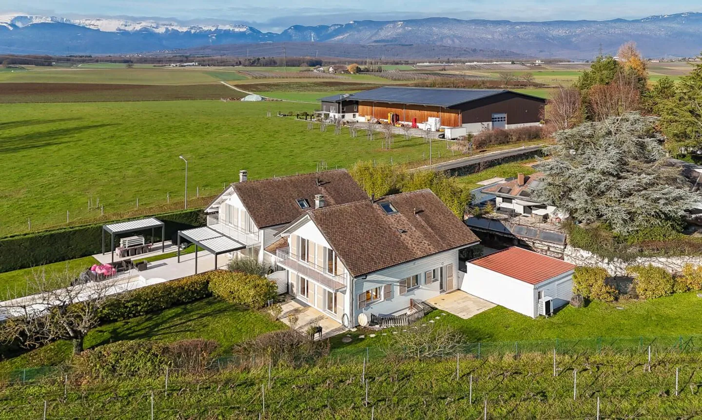 Ruhe am Rande der Weinberge - Foto 1 von 11