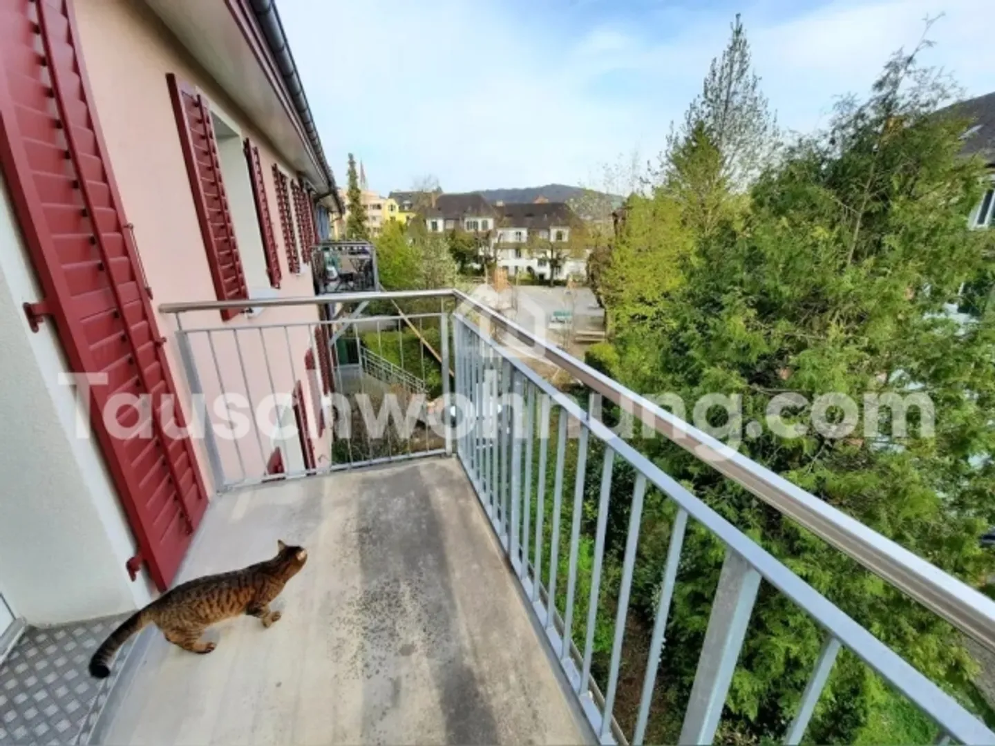 Ruhige 3 Zimmer Wohnung in Zürich Wipkingen - Foto 4 von 6