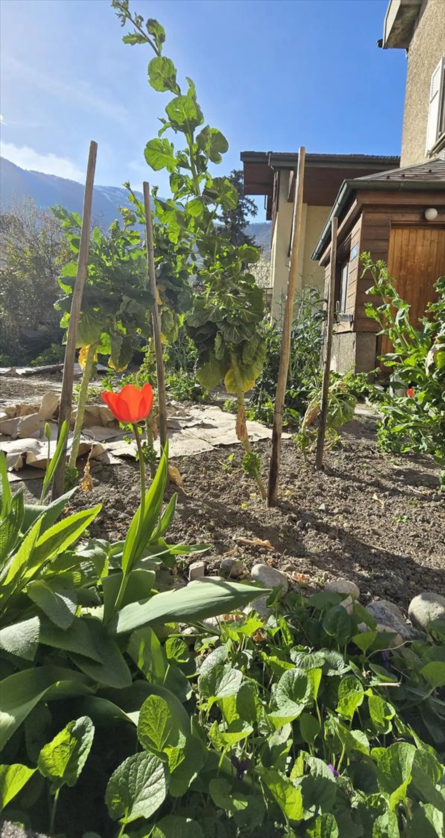 Maison villageoise - Photo 2 sur 18