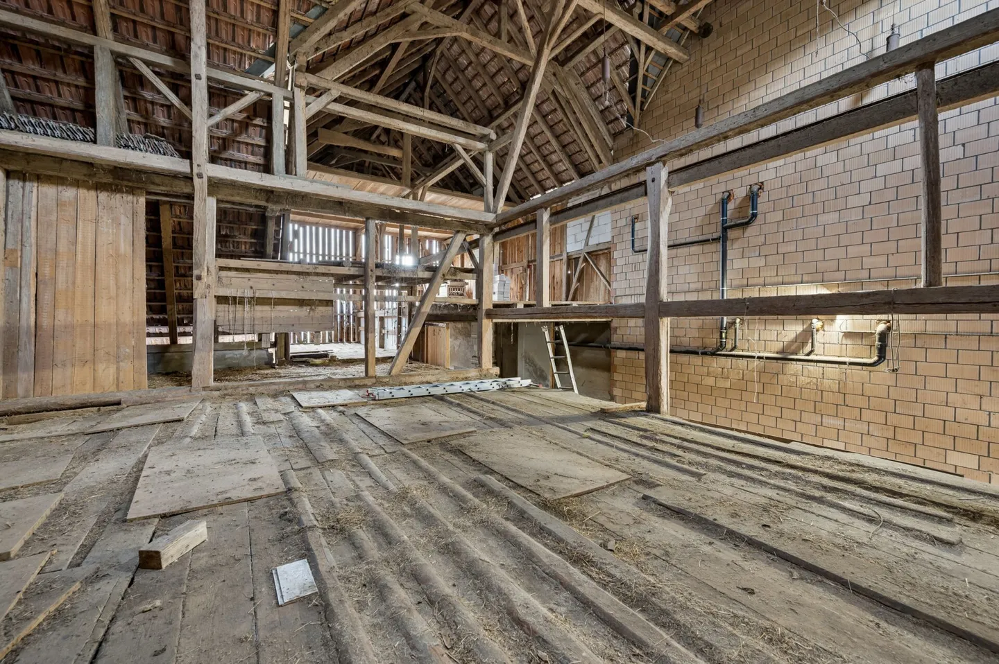 Former farmhouse with two residential units, outbuilding and versatile development potential - Photo 10 of 13