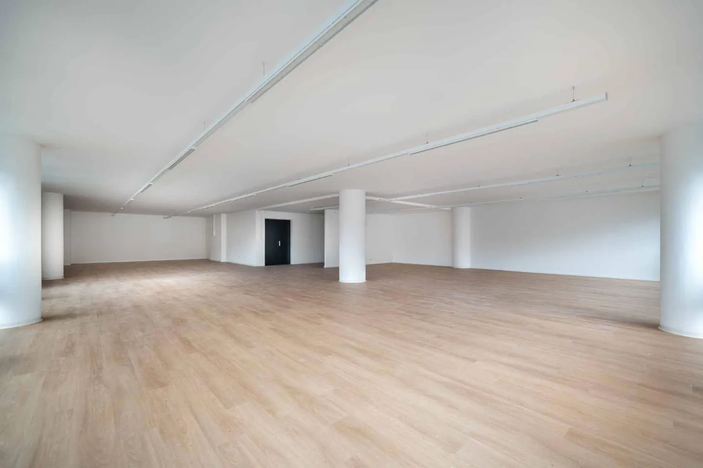 Modern and fully renovated commercial spaces of 129 m² and 230 m² - Photo 5 of 7
