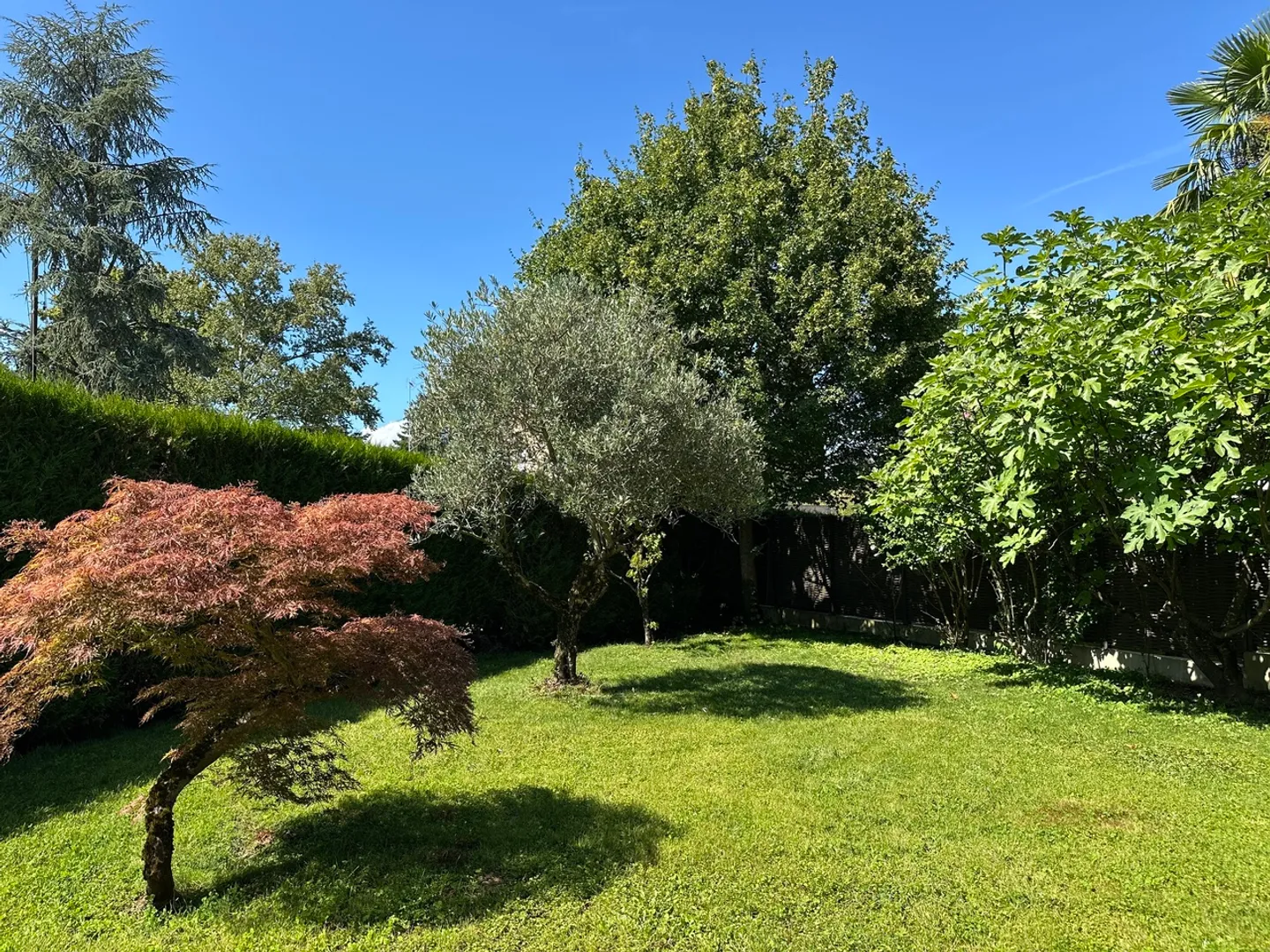 Einfamilienhaus - Foto 2 von 9