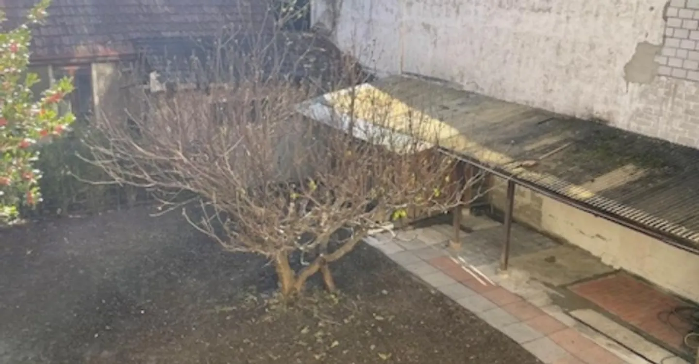 Schöne renovierte 3-Zimmer-Wohnung mit Gemeinschaftsgarten - Zentrum von Biel - Foto 10 von 10