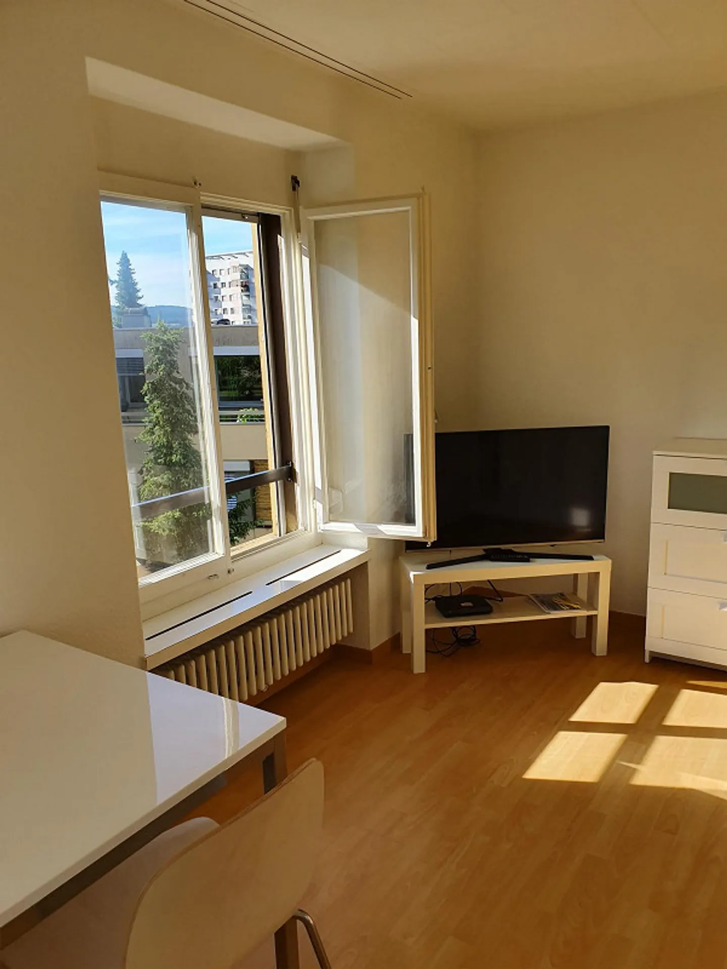 Appartamento arredato di 1,5 stanze a Triemli Zurigo - Foto 3 di 4