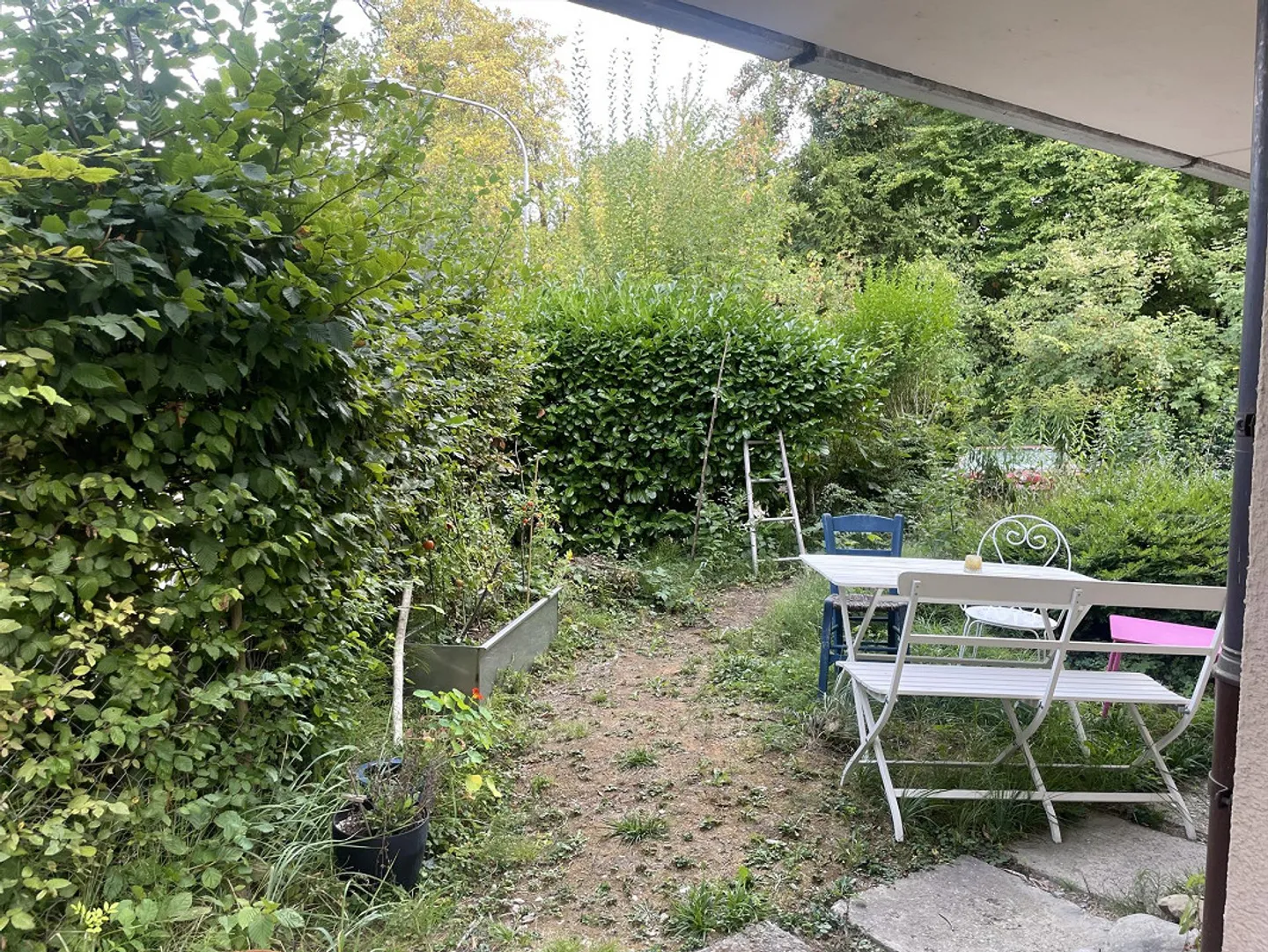 Bell'appartamento con giardino a Zurigo in subaffitto - Foto 9 di 10