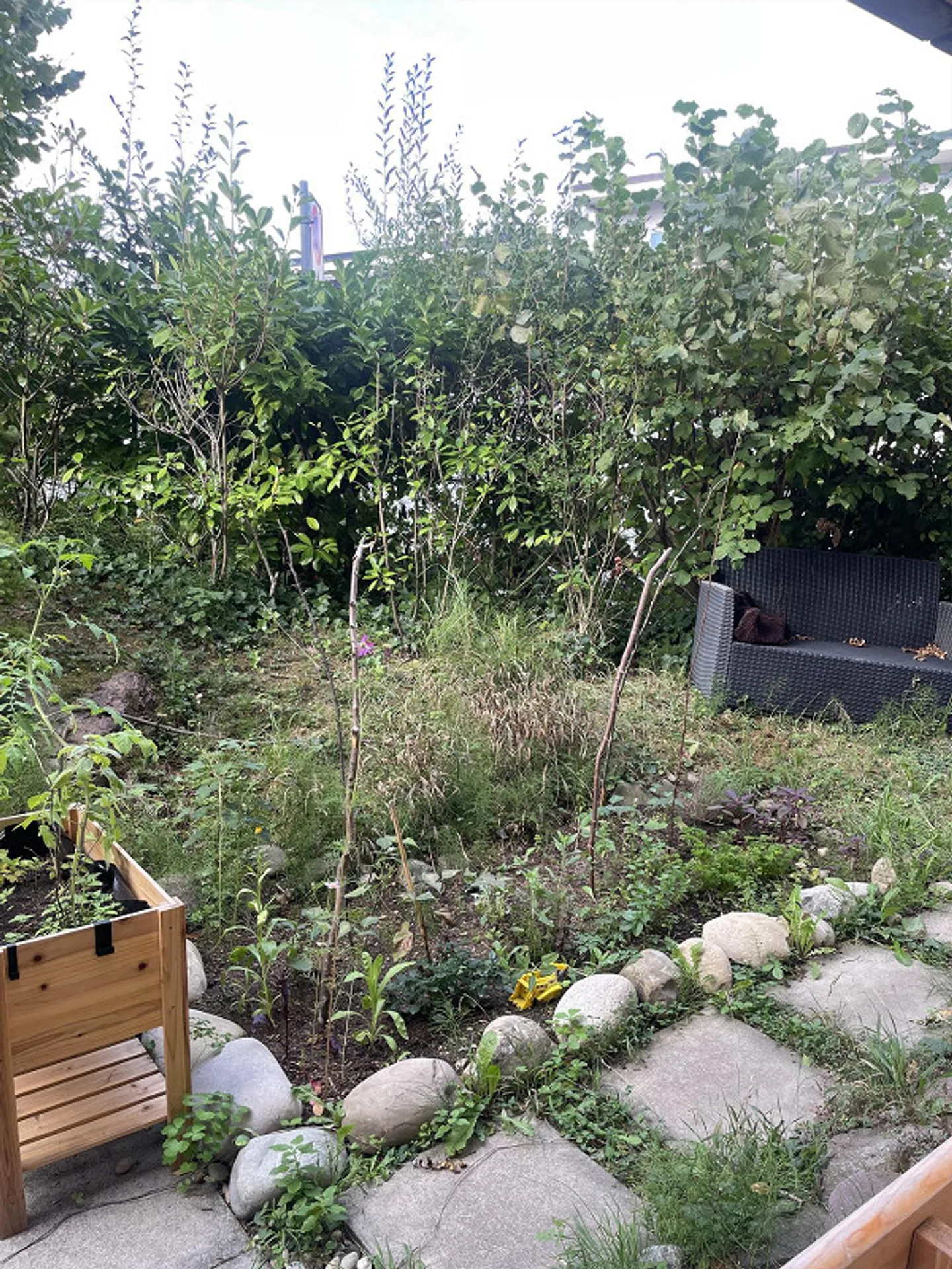Bell'appartamento con giardino a Zurigo in subaffitto - Foto 10 di 10