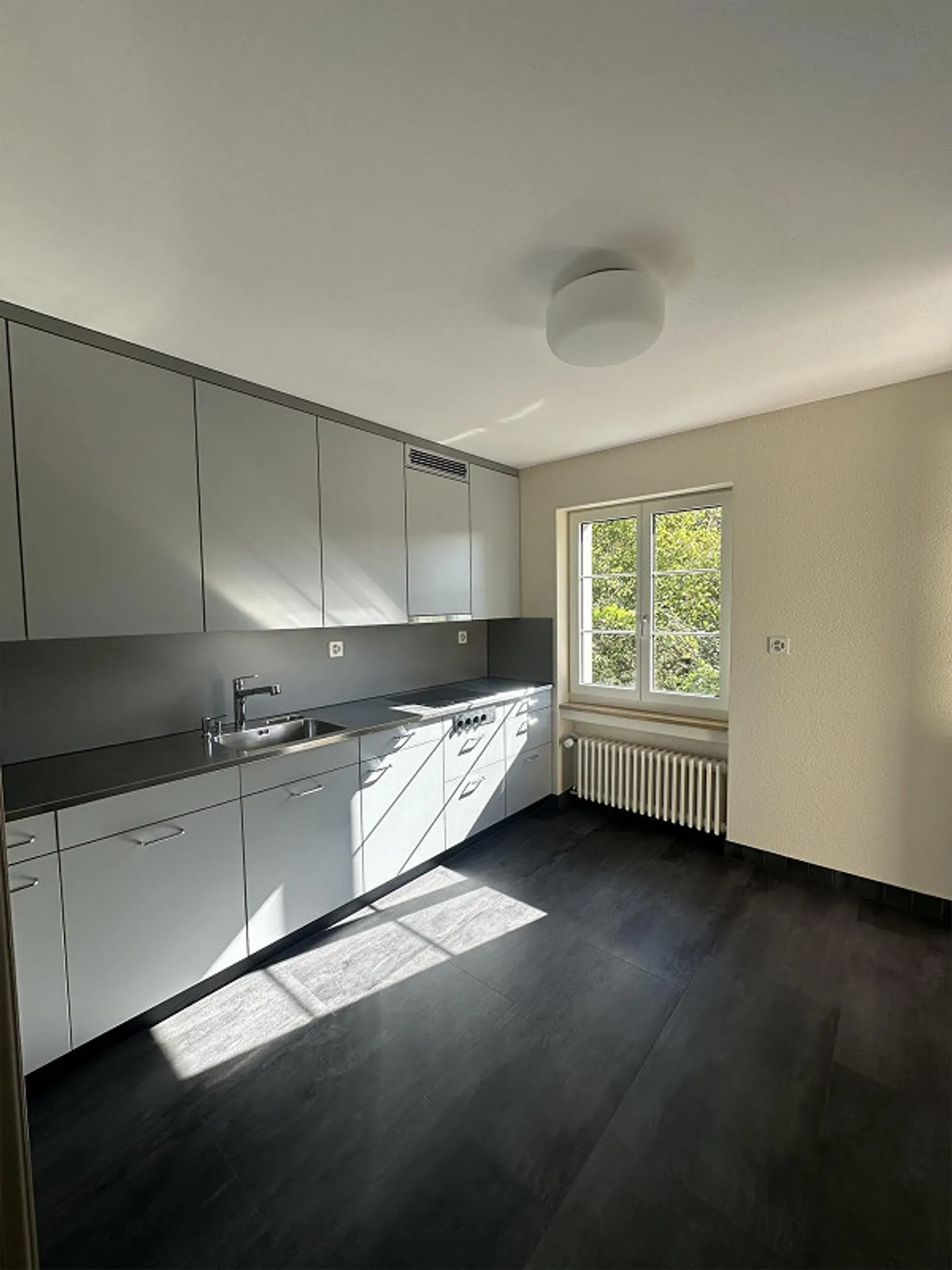 Appartement 5.5 pièces à Eglisau - Photo 3 sur 13