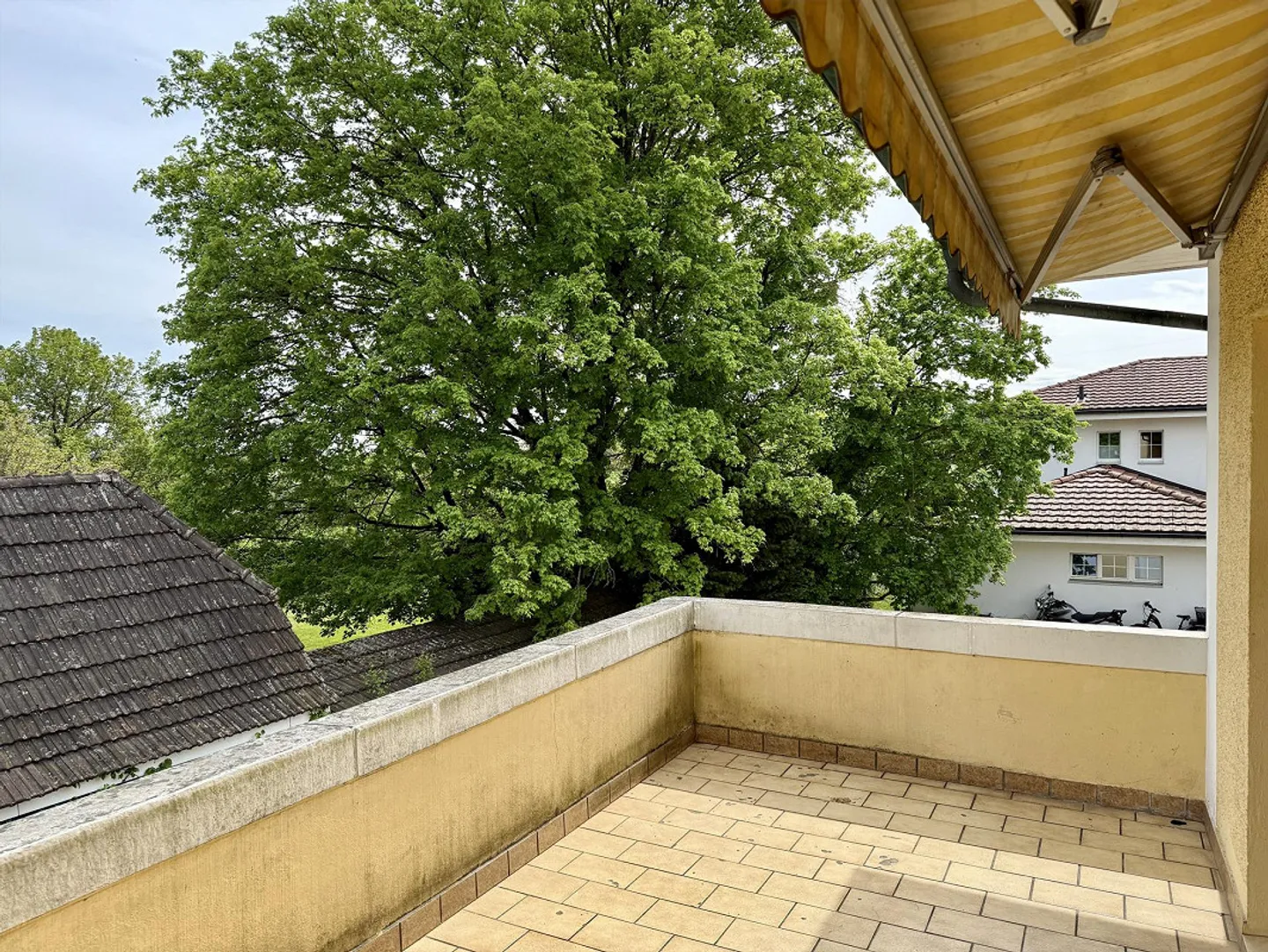 3 1/2 Room Apartment with Terrace - Photo 2 of 11