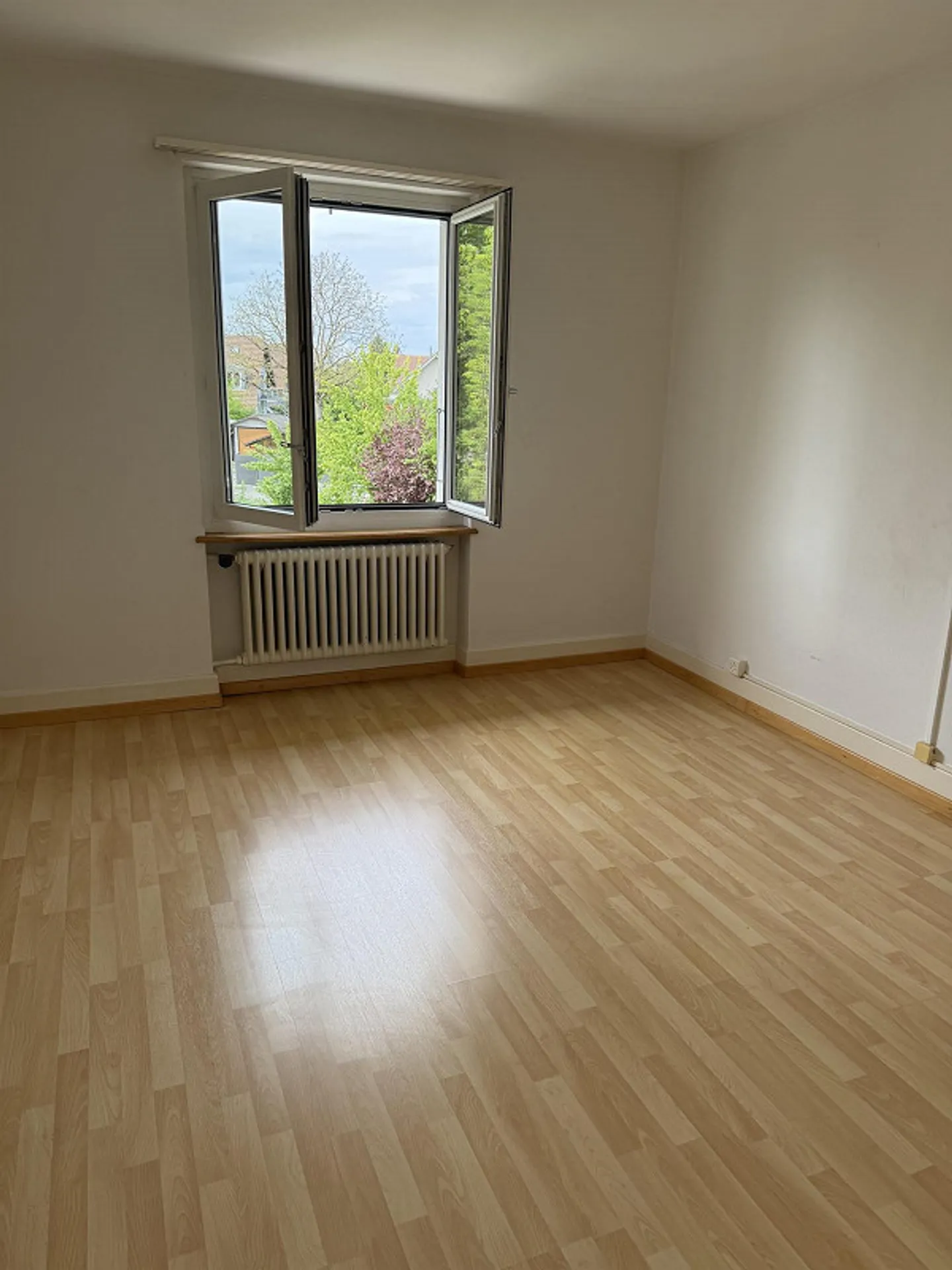 3 1/2 Room Apartment with Terrace - Photo 9 of 11