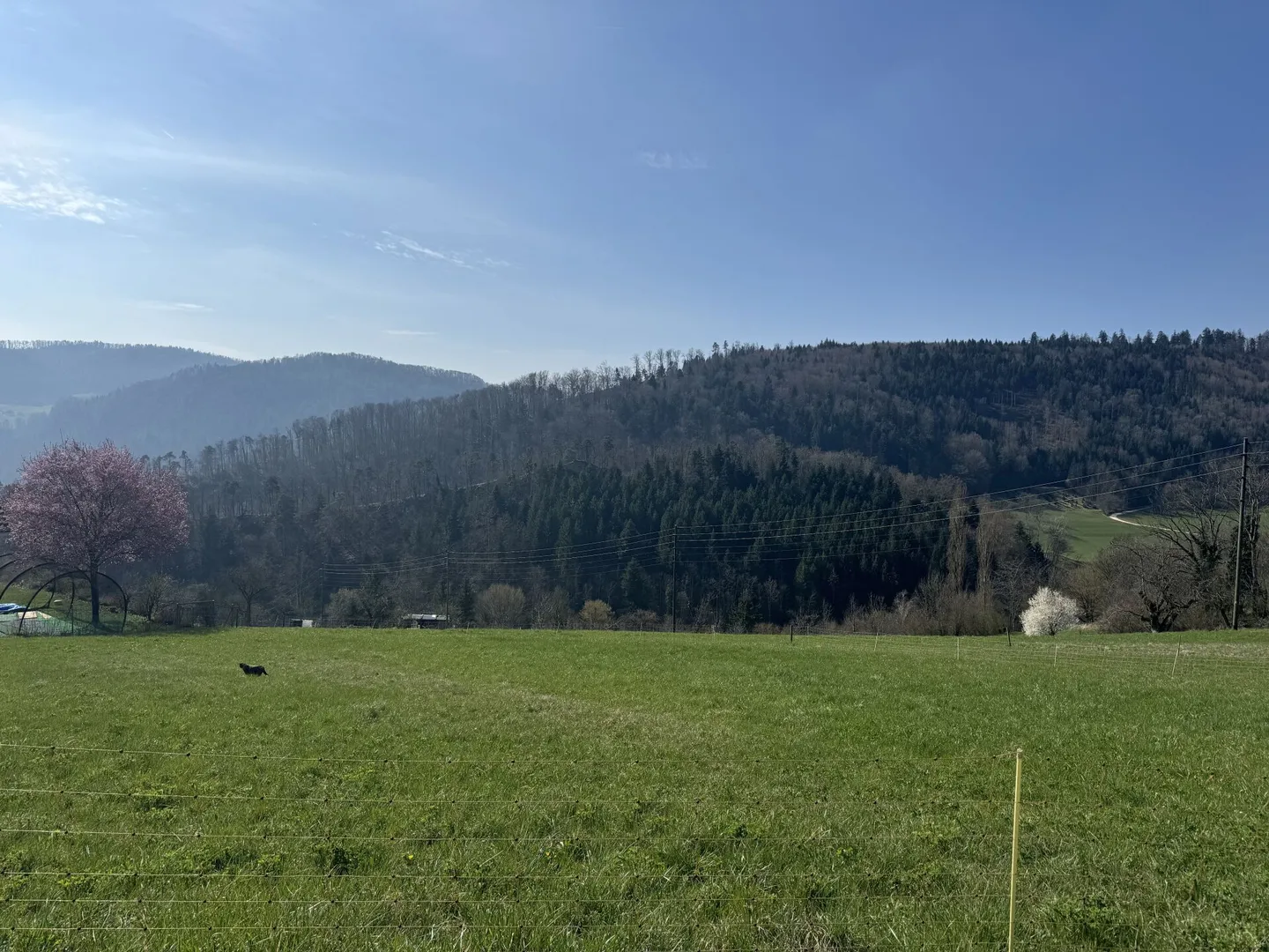 Beau terrain avec vue - Photo 2 sur 2
