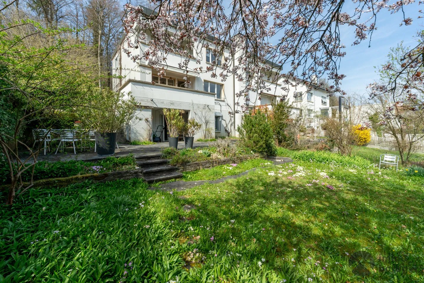 Casa architettonica al confine del bosco - Foto 1 di 14